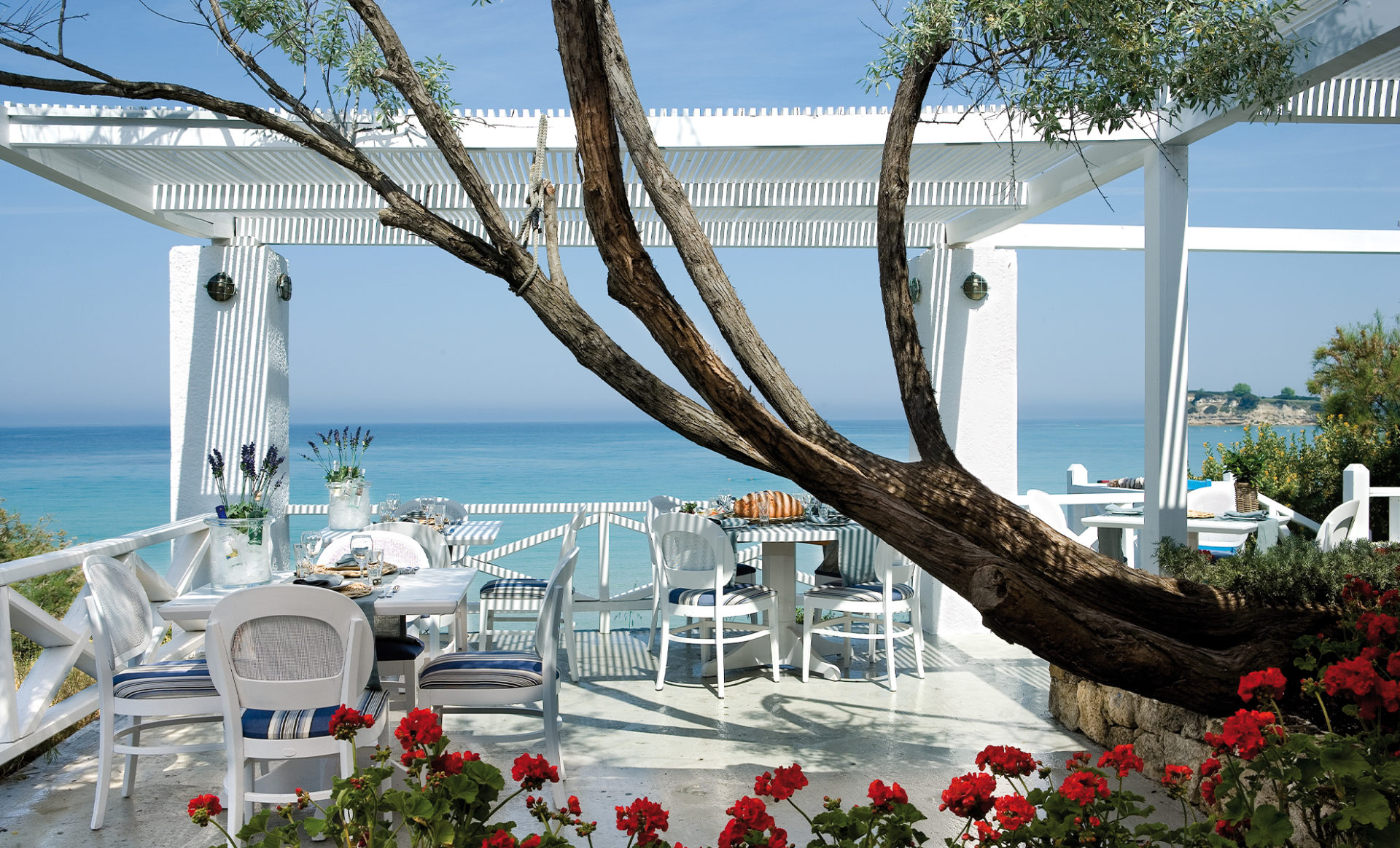 SANI-CLUB--Greece-beach-restaurant
